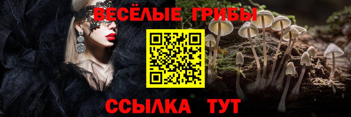 Псилоцибиновые грибы GOLDEN TEACHER  Вход с VPN  Мытищи  Галлюциногенные грибы мицелий 